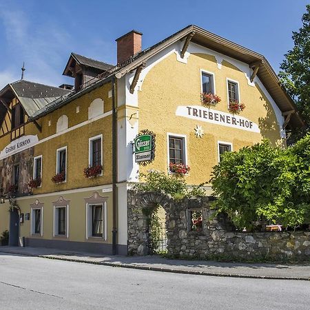 Triebenerhof Hotel Bagian luar foto