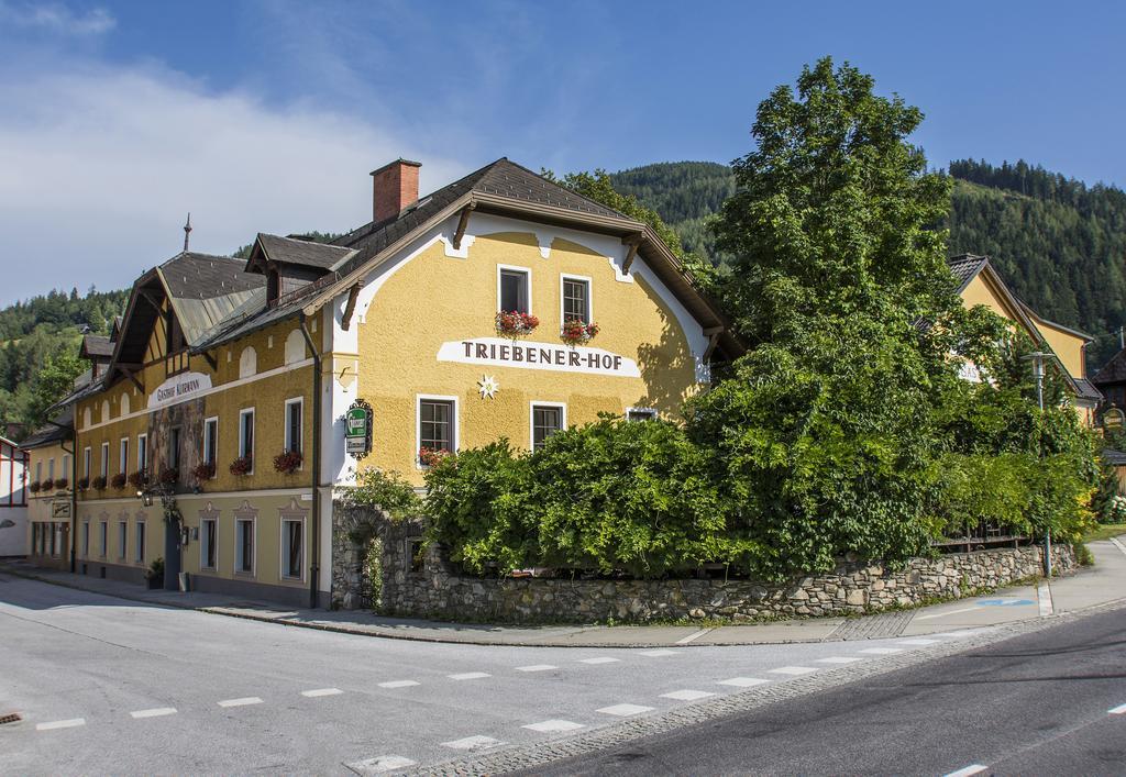 Triebenerhof Hotel Bagian luar foto